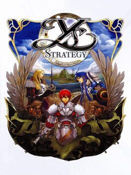Cover of Ys Strategy