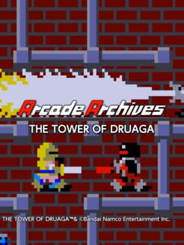 Cover of Arcade Archives: The Tower of Druaga