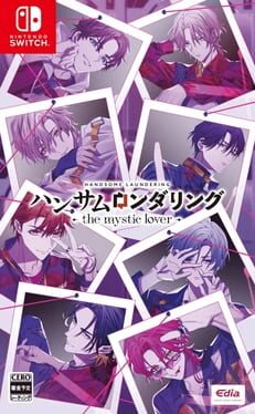 Cover of Handsome Laundering: The Mystic Lover